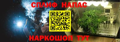 сатива Краснокаменск