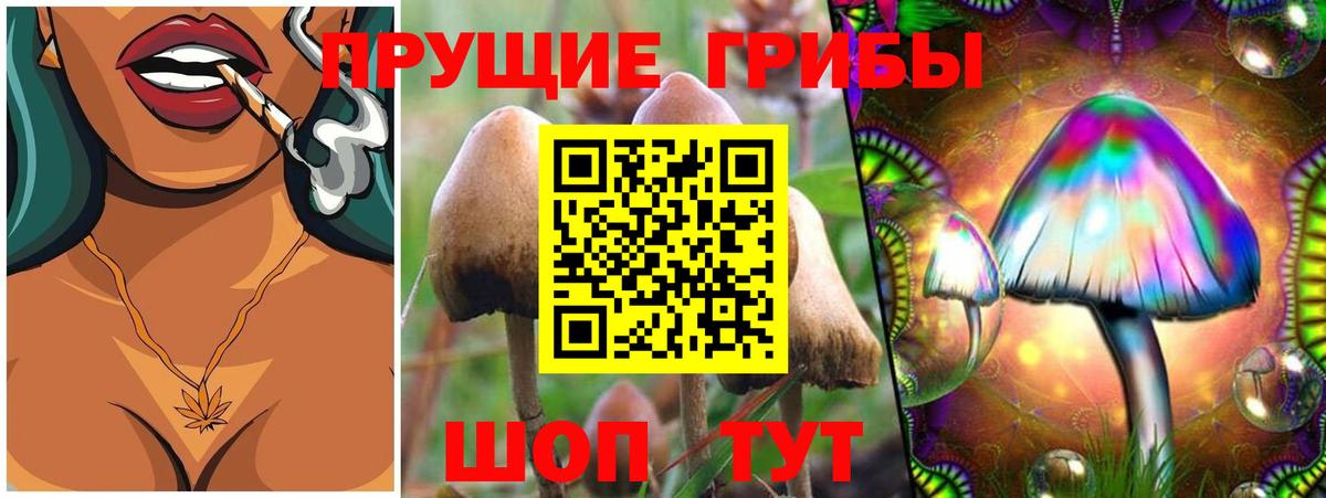 Галлюциногенные грибы мухоморы Калининград